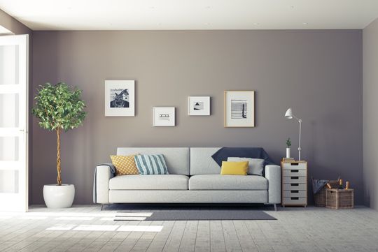 Explore Home & Living Ideas